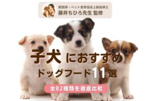 【獣医師監修】子犬用ドッグフードおすすめ人気ランキング11選【安心×食いつきを重視！】